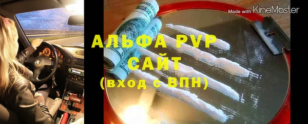 индика Волоколамск